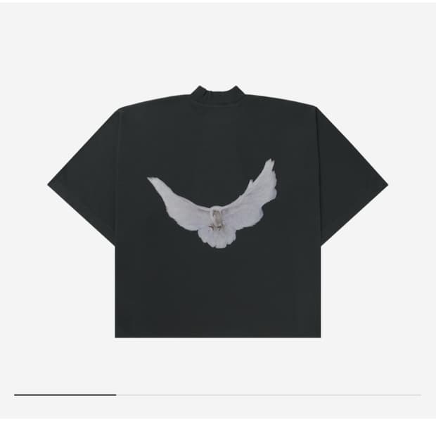 Yeezy gap 도브 노심 라지