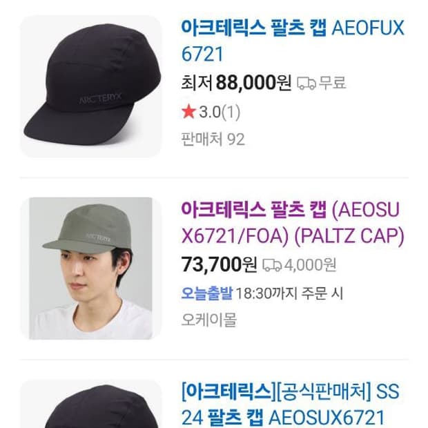 아크테릭스 팔츠캡 라지엑스라지