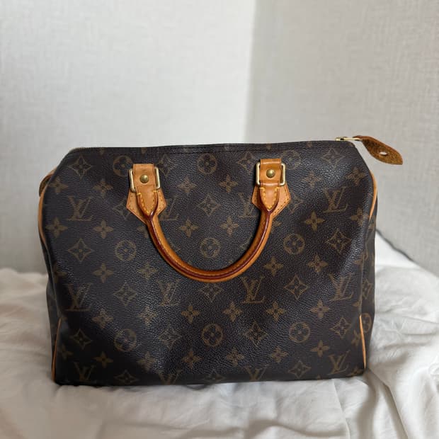 루이비통 스피디 백