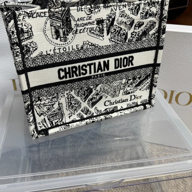 디올 스몰 북 토트백 플랜 드 파리 자수 화이트 블랙