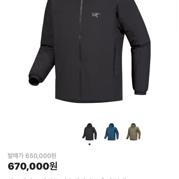 아크테릭스 앱실론 후디 L