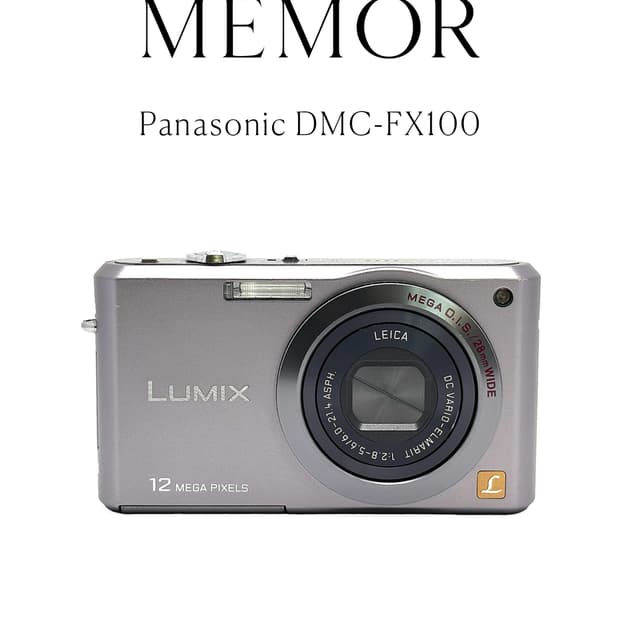 라이카렌즈💎Panasonic DMC-FX100 파나소닉 빈티지디카