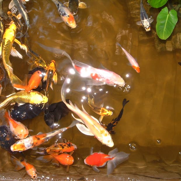 사연품3. 후지필름 파인픽스 4700z