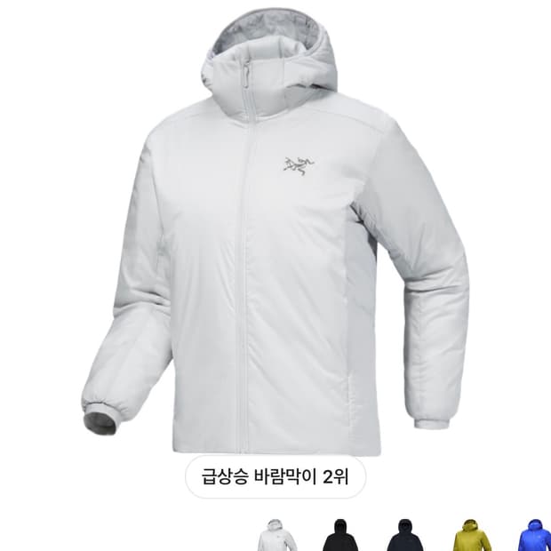 아크테릭스 아톰 솔티튜드 S 새상품