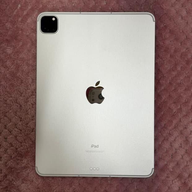 아이패드 프로11 (3세대) 256GB  (Wi‑Fi + Cellula