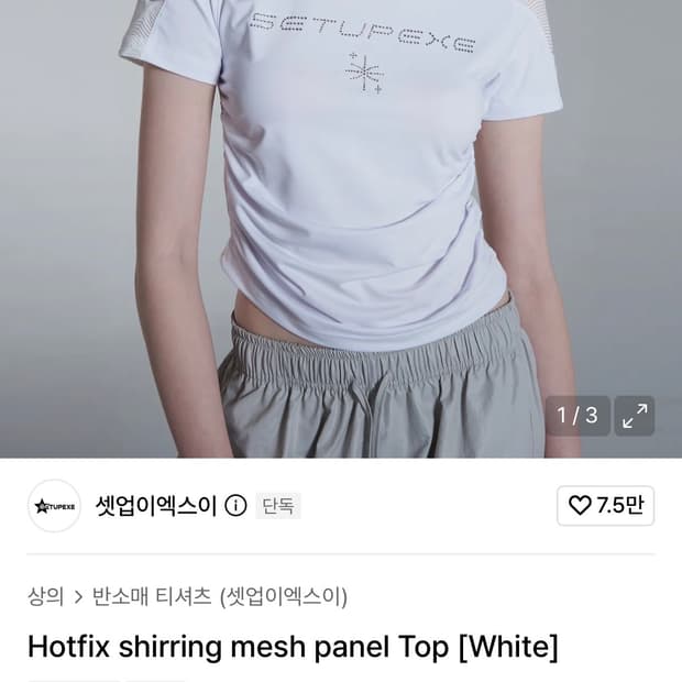 SETUPEXE- Hotfix Shirring Mesh Top white