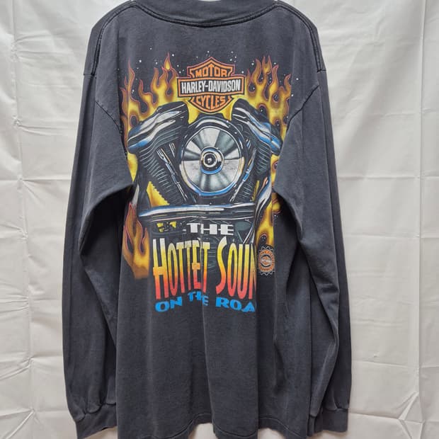 할리데이비슨 쭉티