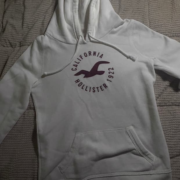홀리스터 후드티