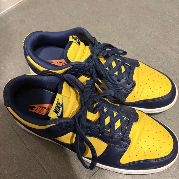 나이키 덩크 로우 레트로 바시티 메이즈 275