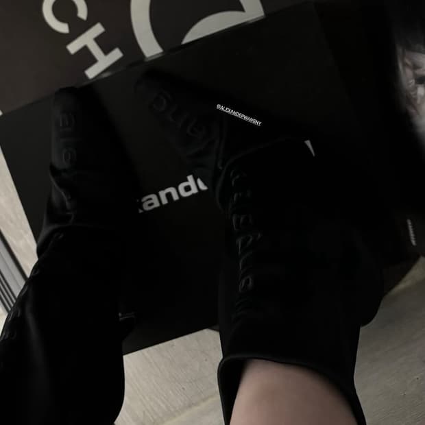 alexander wang 알렉산더 왕 앵클부츠