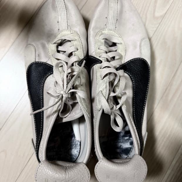 290 나이키 문레이서