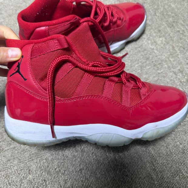 조던 11 콩고드 260