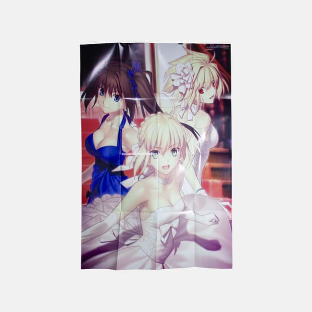 페이트/로도스도 전기 잡지 부록 B1 양면 포스터 고전 미소녀 세이버