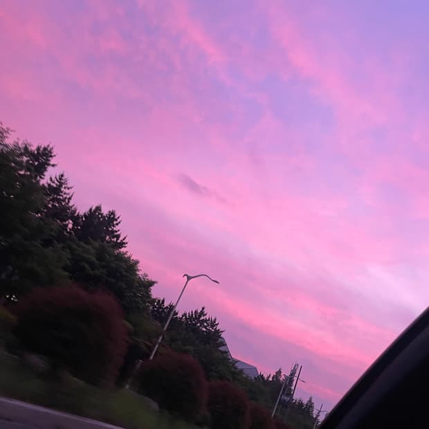 Xox 님 개인 결제창