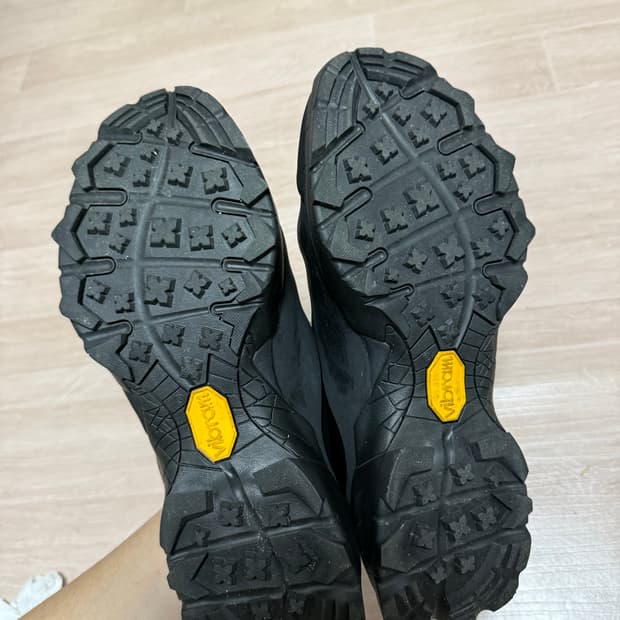 (42) 로아 메리제인 