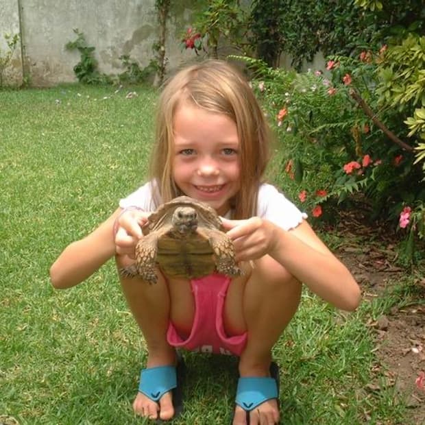 99% 신동품! 후지필름 파인픽스 40i