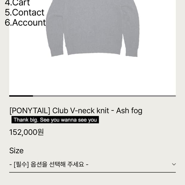 테프스토어즈 포니테일 V neck 구매합니다