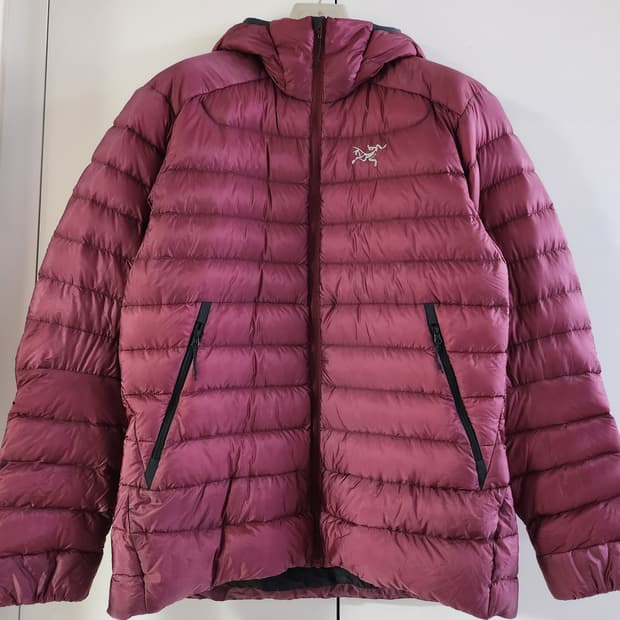 아크테릭스  남성 구스패딩