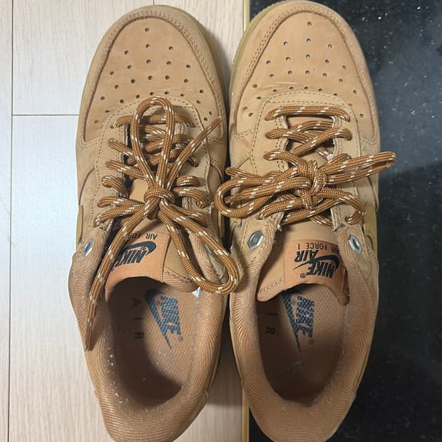 나이키 된장포스 230