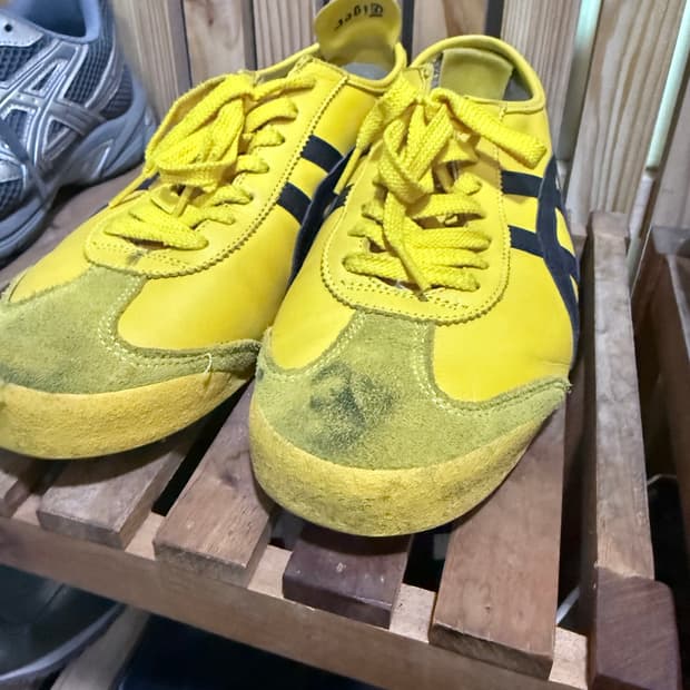 오니츠카 타이거 멕시코 66