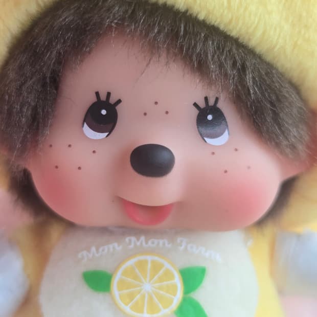 몬치치