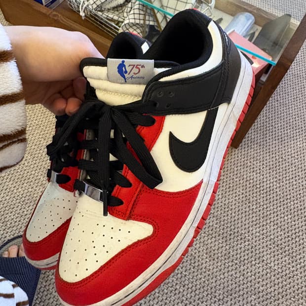 나이키 덩크 로우 레트로 EMB 블랙 앤 칠리 레드