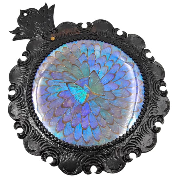 60s 브라질 모르포 나비 레더 아트 대형 벽걸이