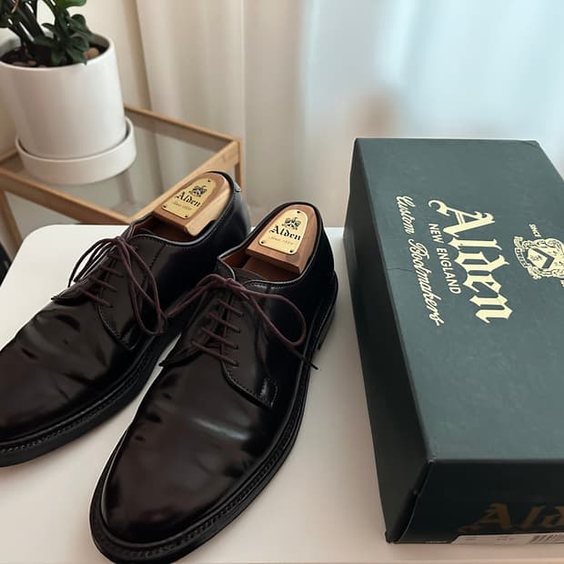 알든 990 8.5D 코도반