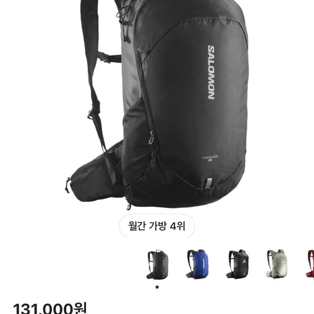 살로몬 트레일블레이저 20