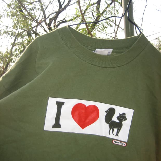 90s 🇺🇸pornstar i love pussy 폰스타 핑크플로이드