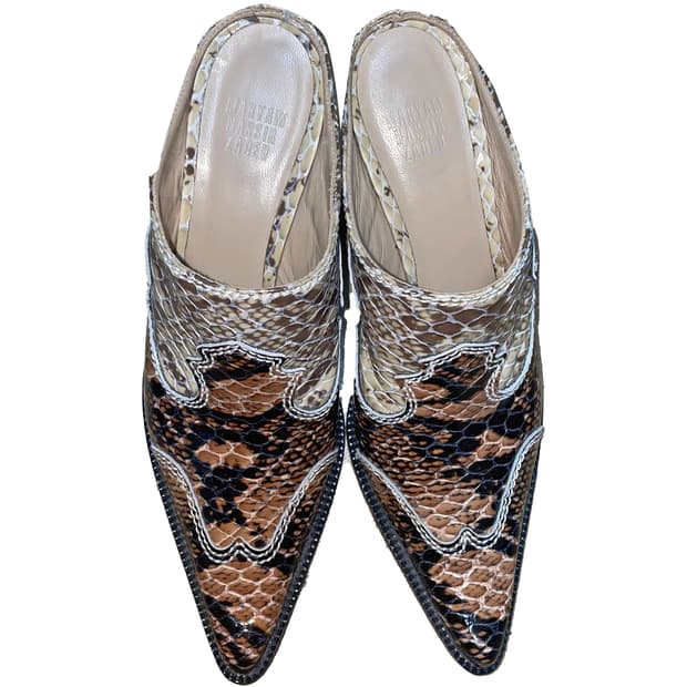 Maryam Nassir Zadeh - Phyton Mule