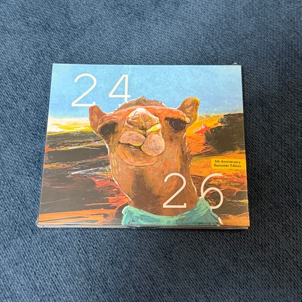 빈지노 2426 cd 새상품