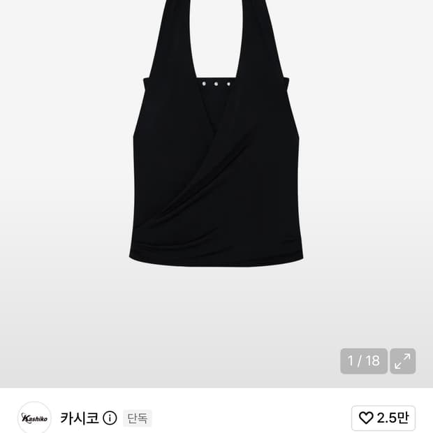 카시코 홀터