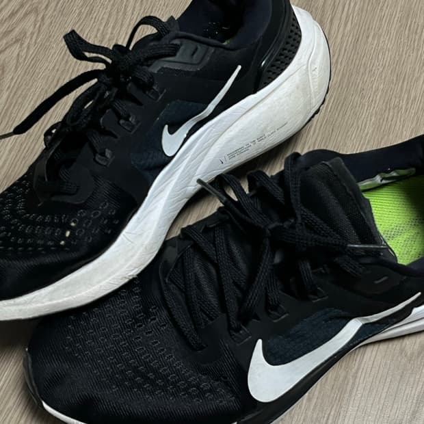 나이키 운동화 에어 줌 페가수스 런닝화 265mm