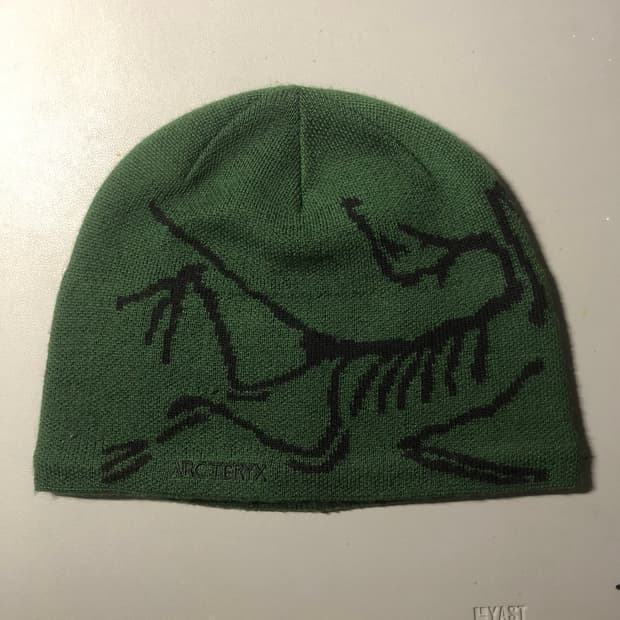 아크테릭스 비니