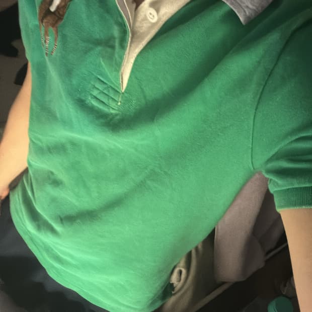 폴로 랄프로렌 빅포니 카라티