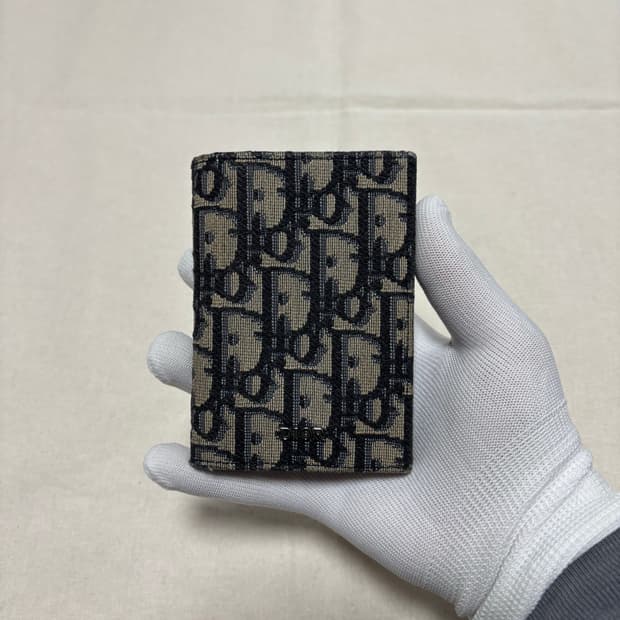 디올 오블리크 오거나이저 