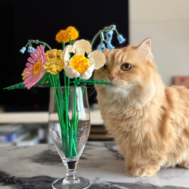 나이키 사카이 LD 와플 멀티그린 240