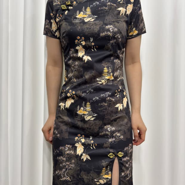 quipao dress