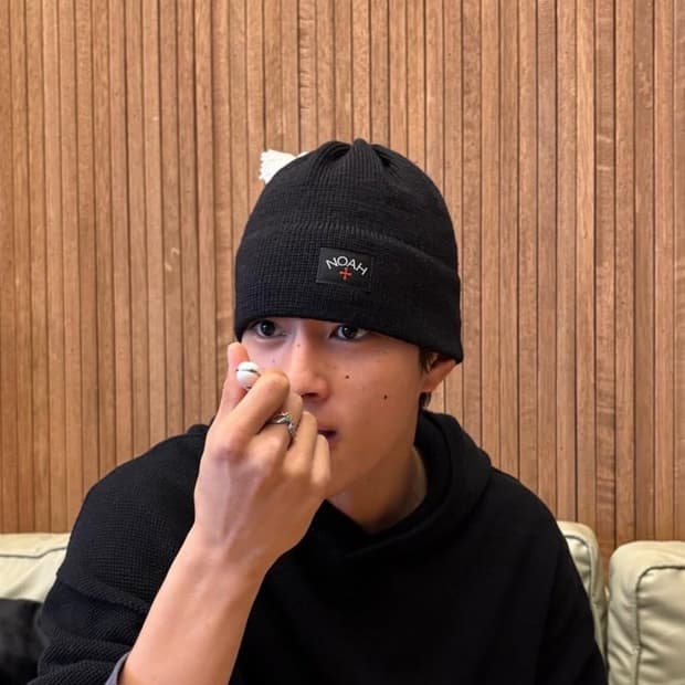 노아 태슬 비니