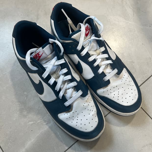 나이키 덩크로우 280 발라리안블루