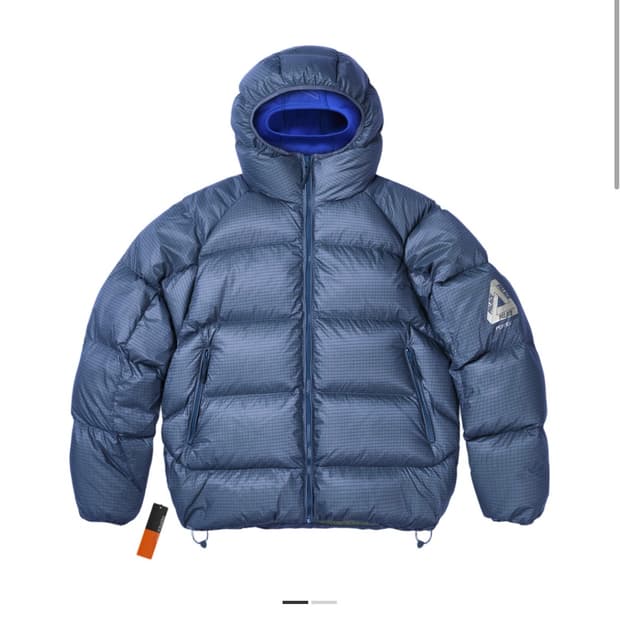 팔라스 푸파 라지사이즈