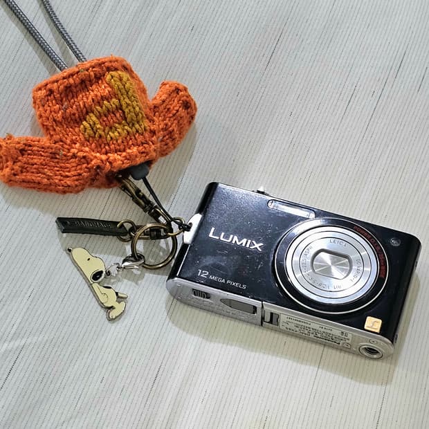 Lumix DMC-FX65 카메라