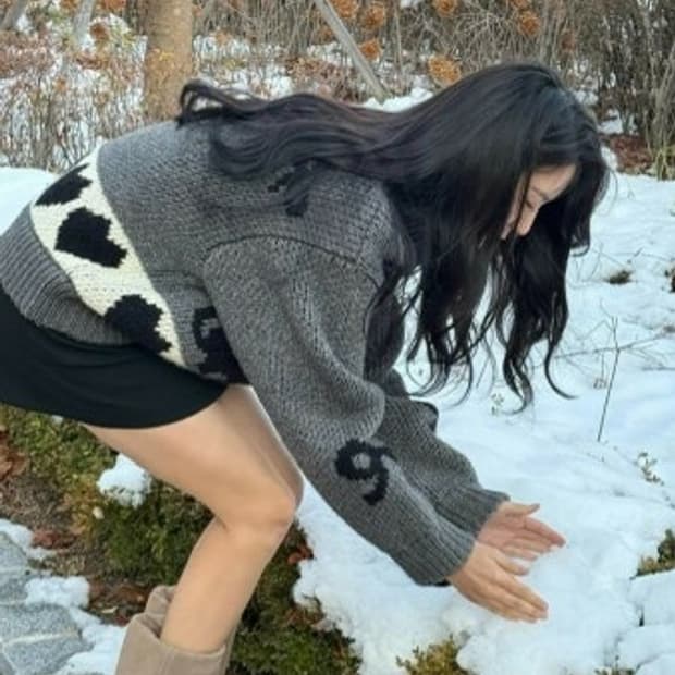 오픈와이와이 펫클럽 코위찬 S사이즈