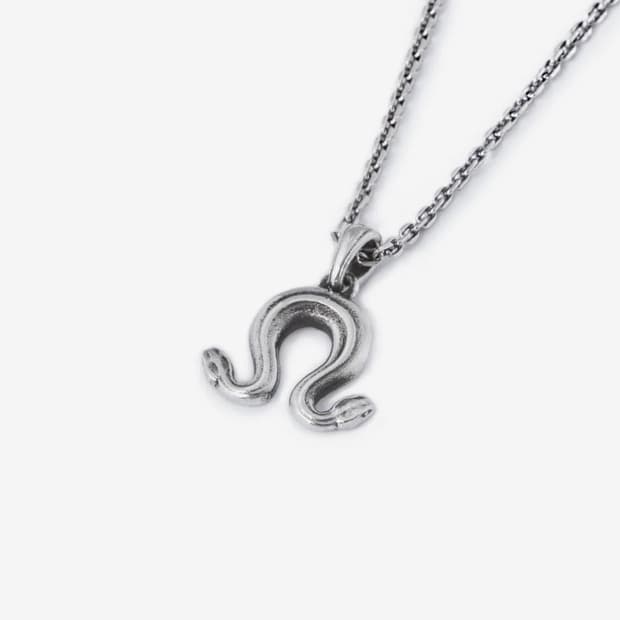 omega snake pendant + 앵커체인 2mm 50cm
