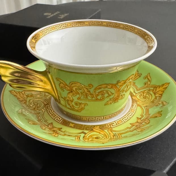 Versace x Rosenthal Gold Ivy Teacup & Sa