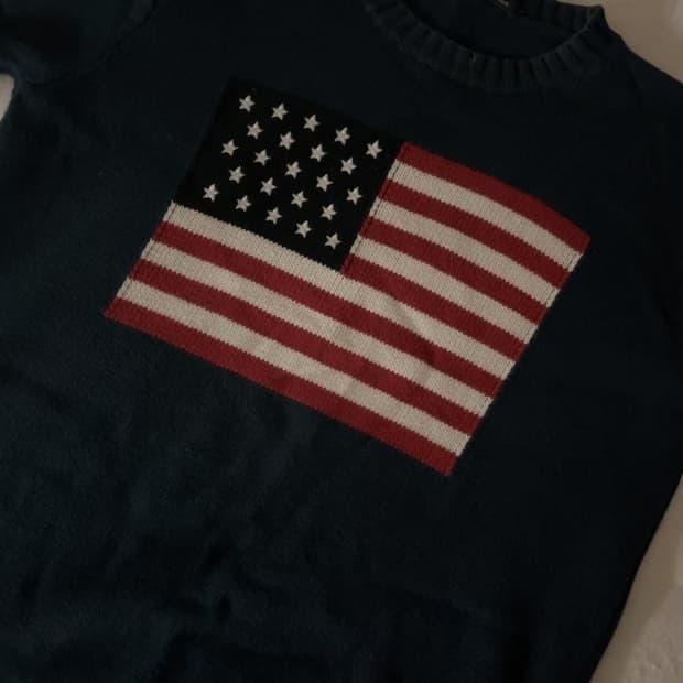 브랜디멜빌 성조기 니트
