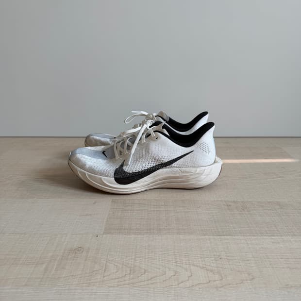 나이키 페가수스 플러스 러닝화