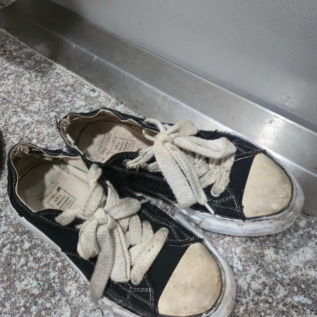 미하라 야스히로 피터슨