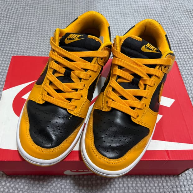 나이키 덩크 로우 레트로 챔피언쉽 골든로드 250